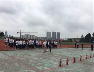 ebb84557e74b03924ef769862a3313e