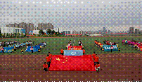 pmo6_vsbD8F3126